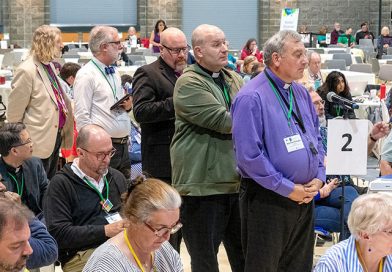 General Synod – two governance issues